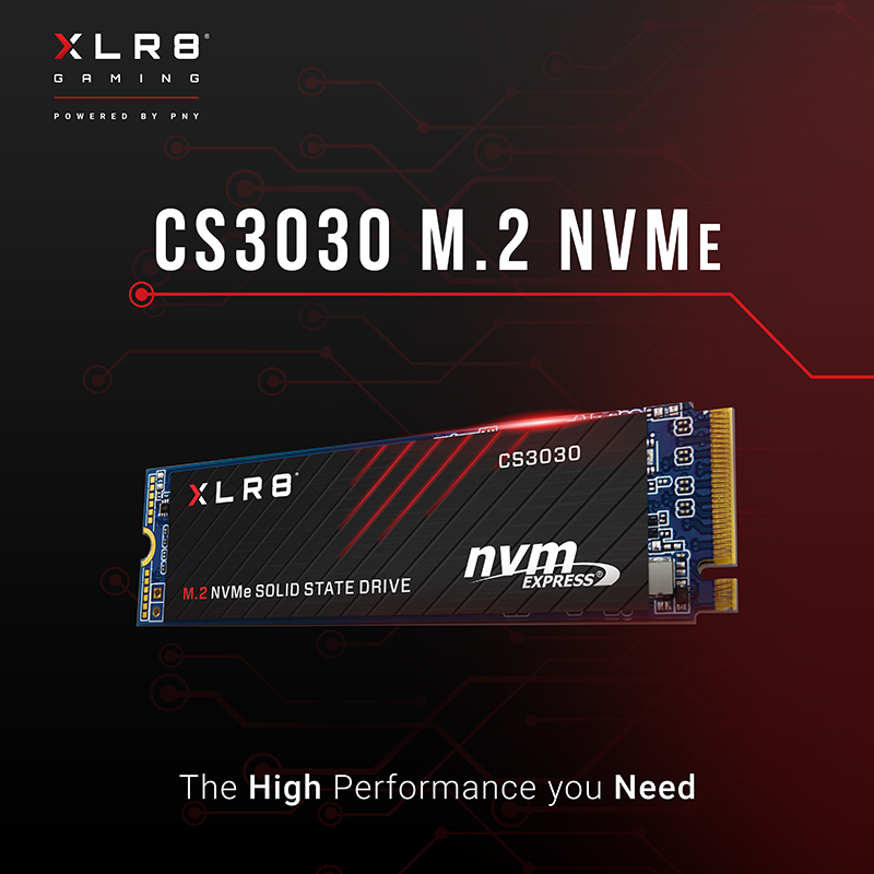 Ổ cứng SSD CS3030 500GB M.2 2208 PCIe NVMe Gen 3x4 